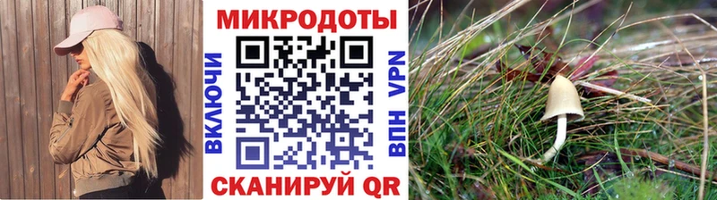 Псилоцибиновые грибы мицелий  Камбарка 